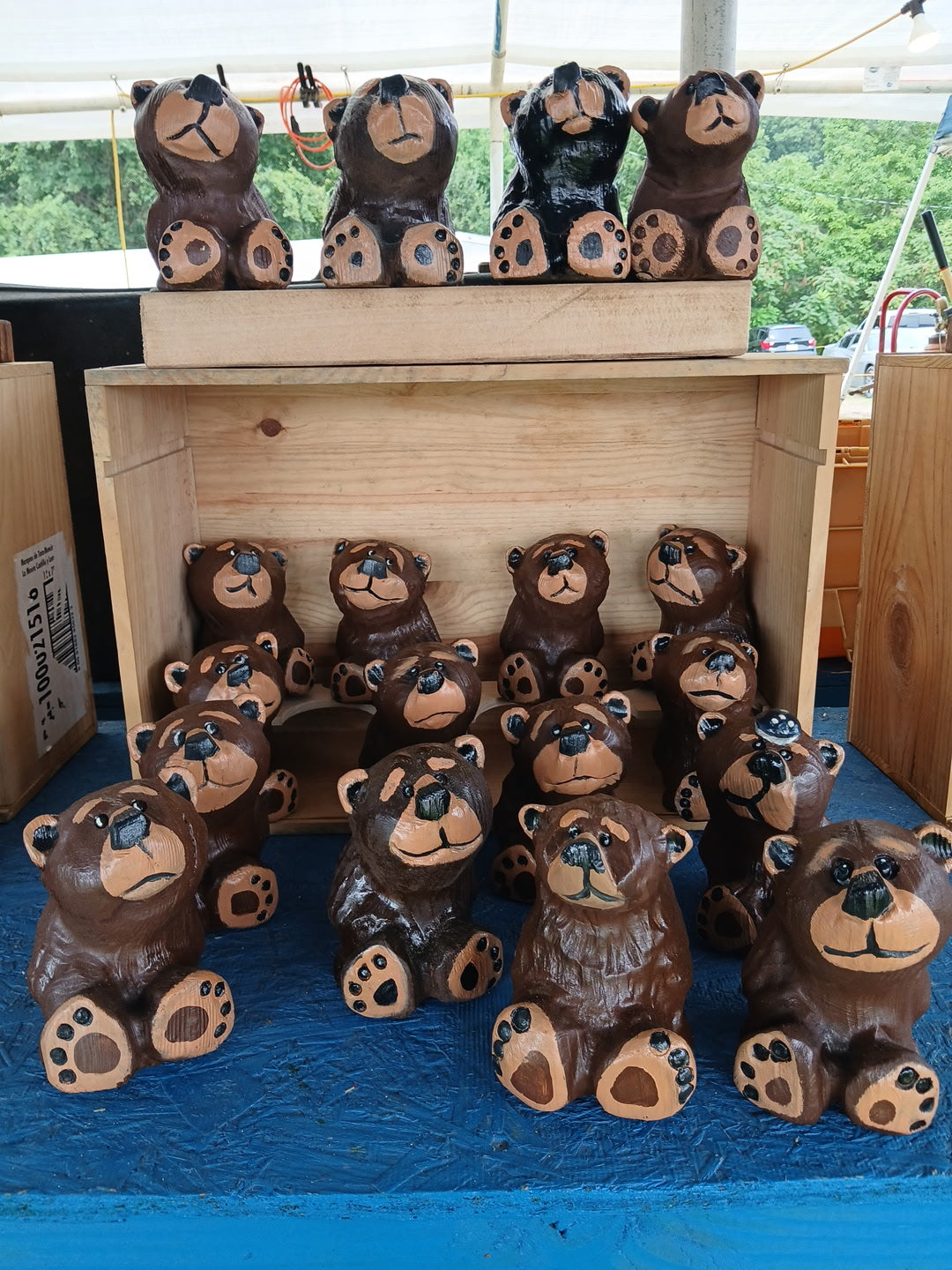 Bears