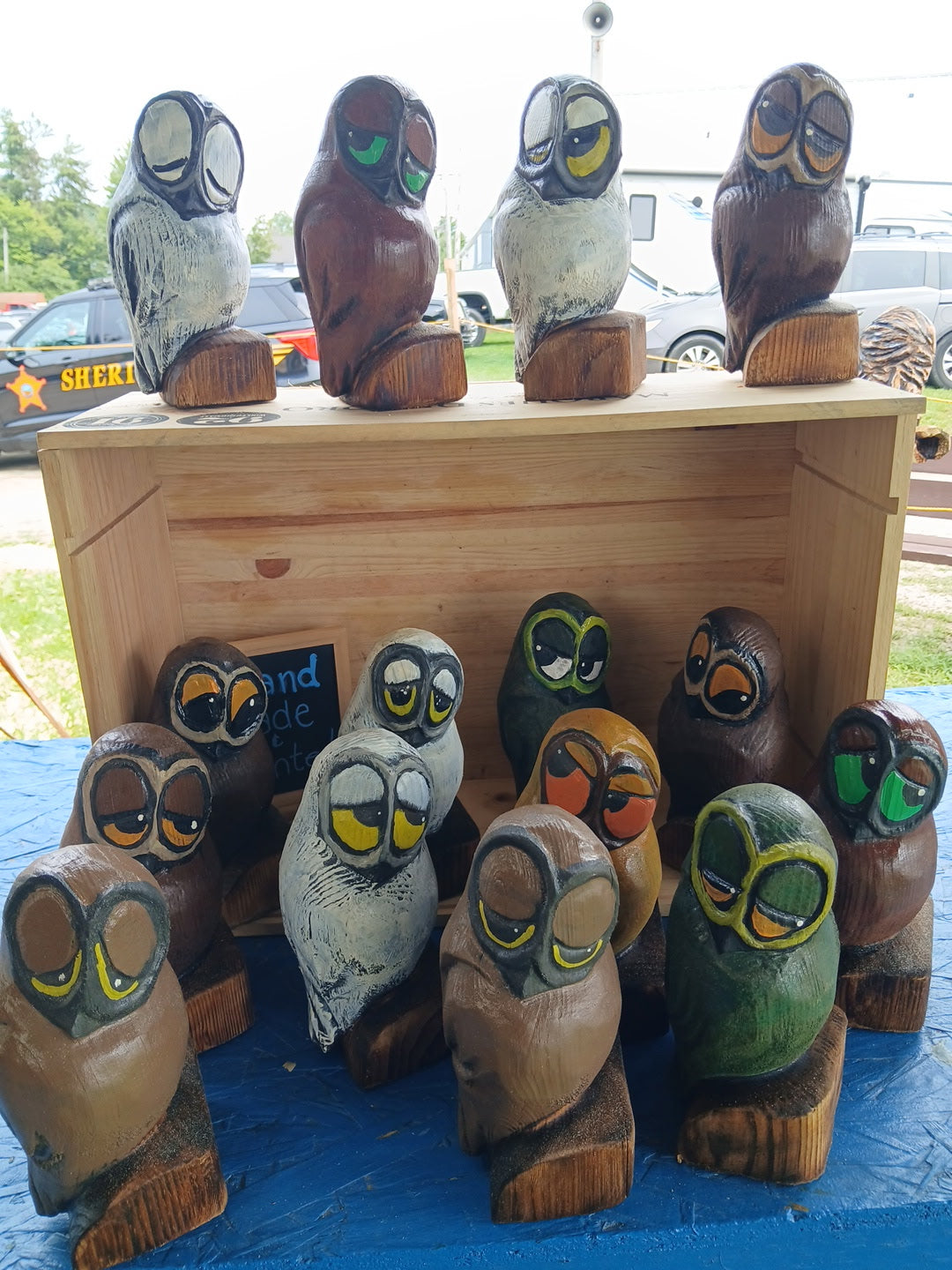 Owls